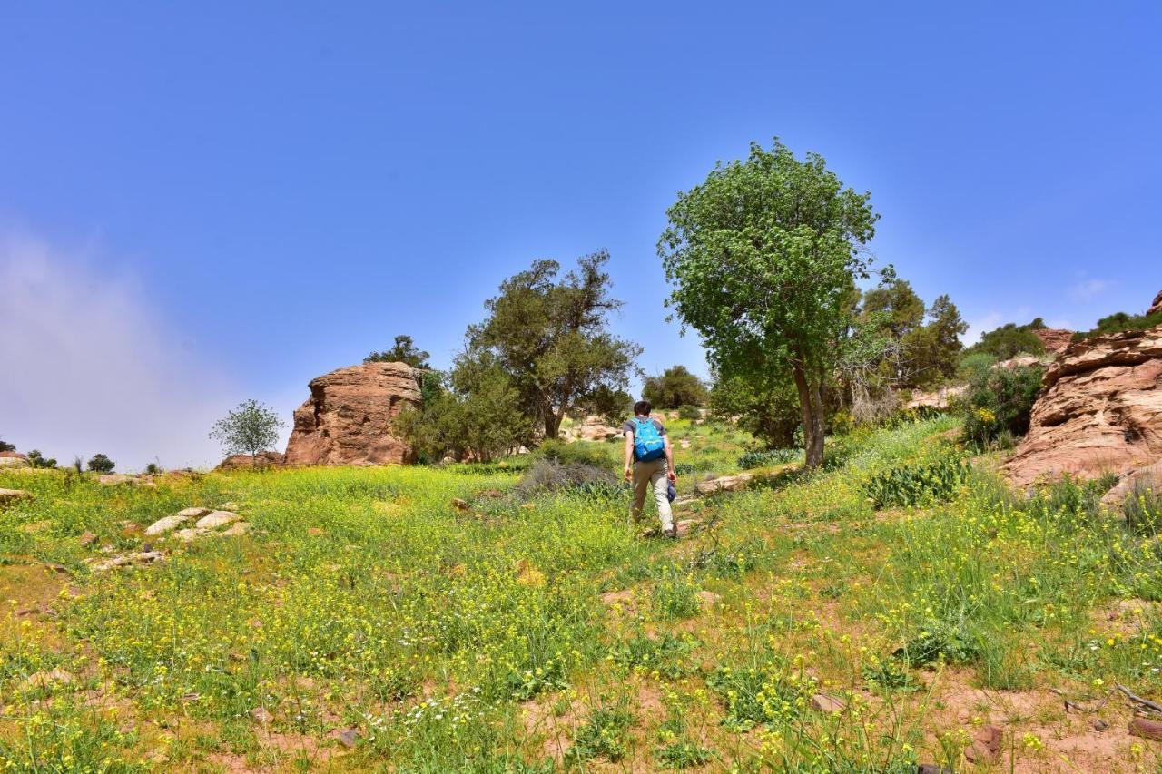 Dana View Guest House Εξωτερικό φωτογραφία