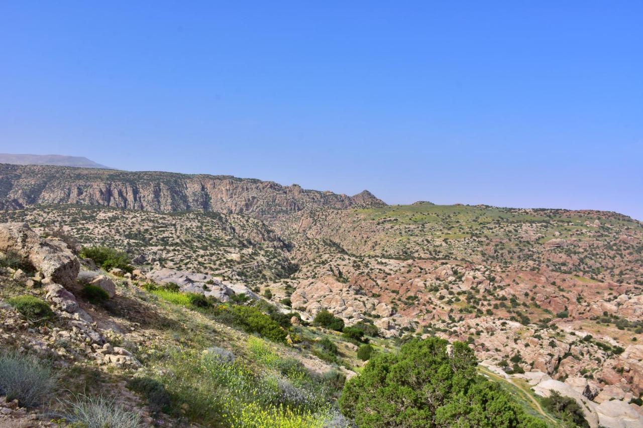 Dana View Guest House Εξωτερικό φωτογραφία