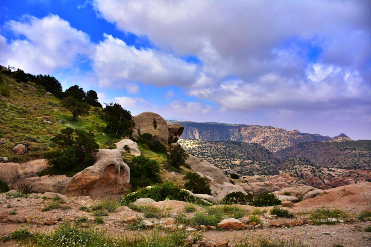 Dana View Guest House Εξωτερικό φωτογραφία