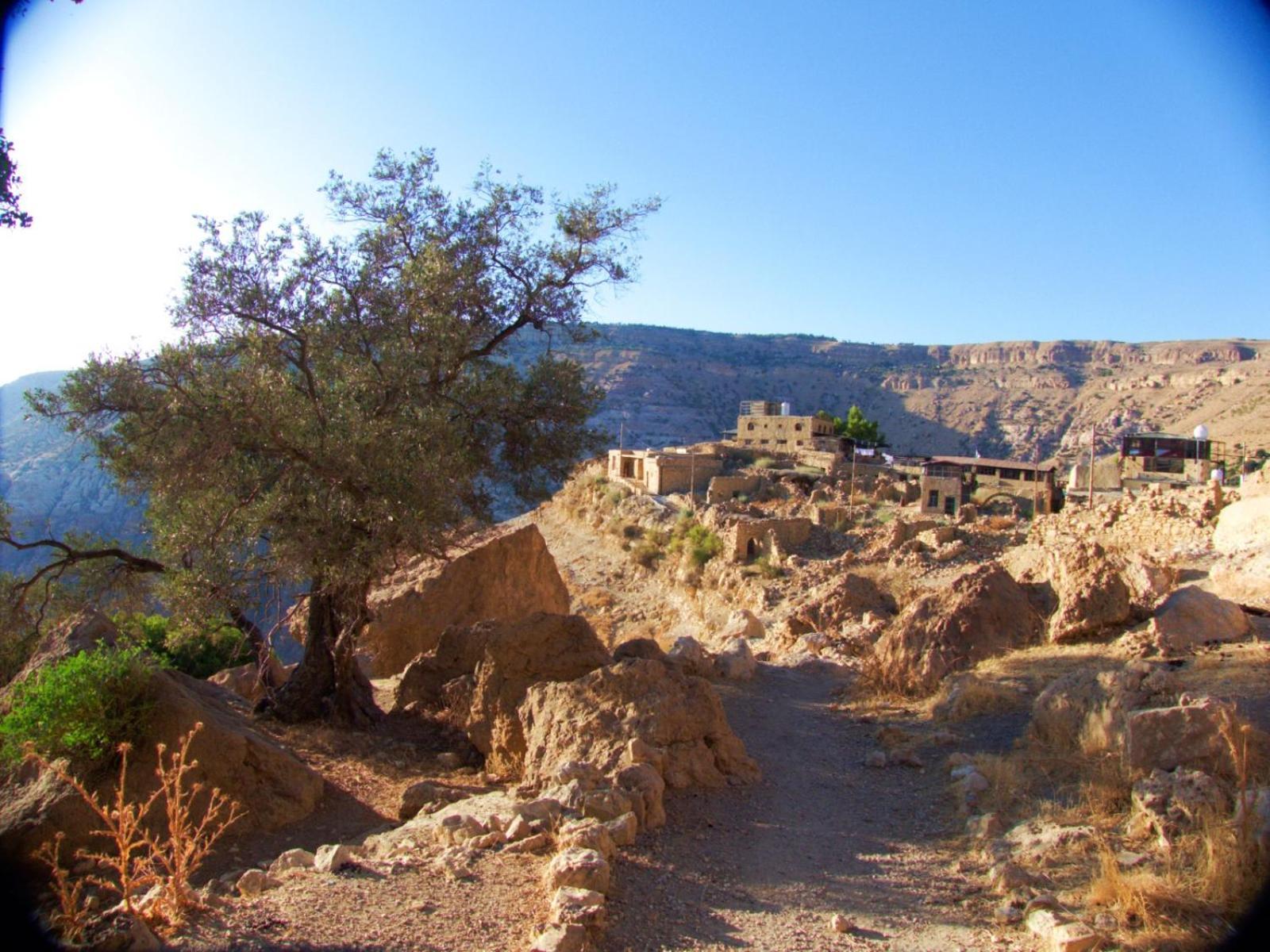Dana View Guest House Εξωτερικό φωτογραφία
